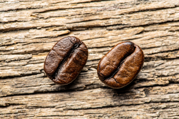 Robusta Vs arabica: quali sono le differenze?