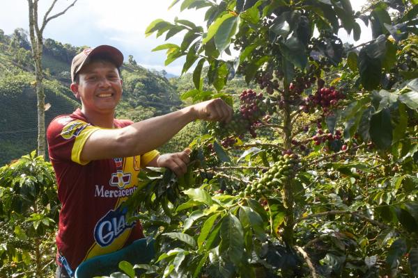 Tracciabilità, trasparenza, garanzia di qualità e sicurezza. Il processo d’innovazione di caffè barbera continua grazie alla blockchain