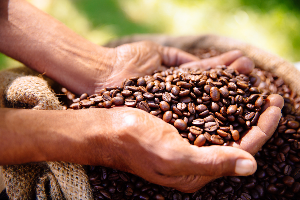 Caffè: origini, varietà e proprietà del caffè